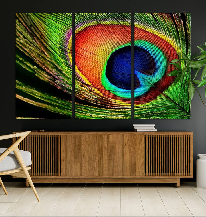 The Colorful Peacock Feather Wall Art Print graces the wall.