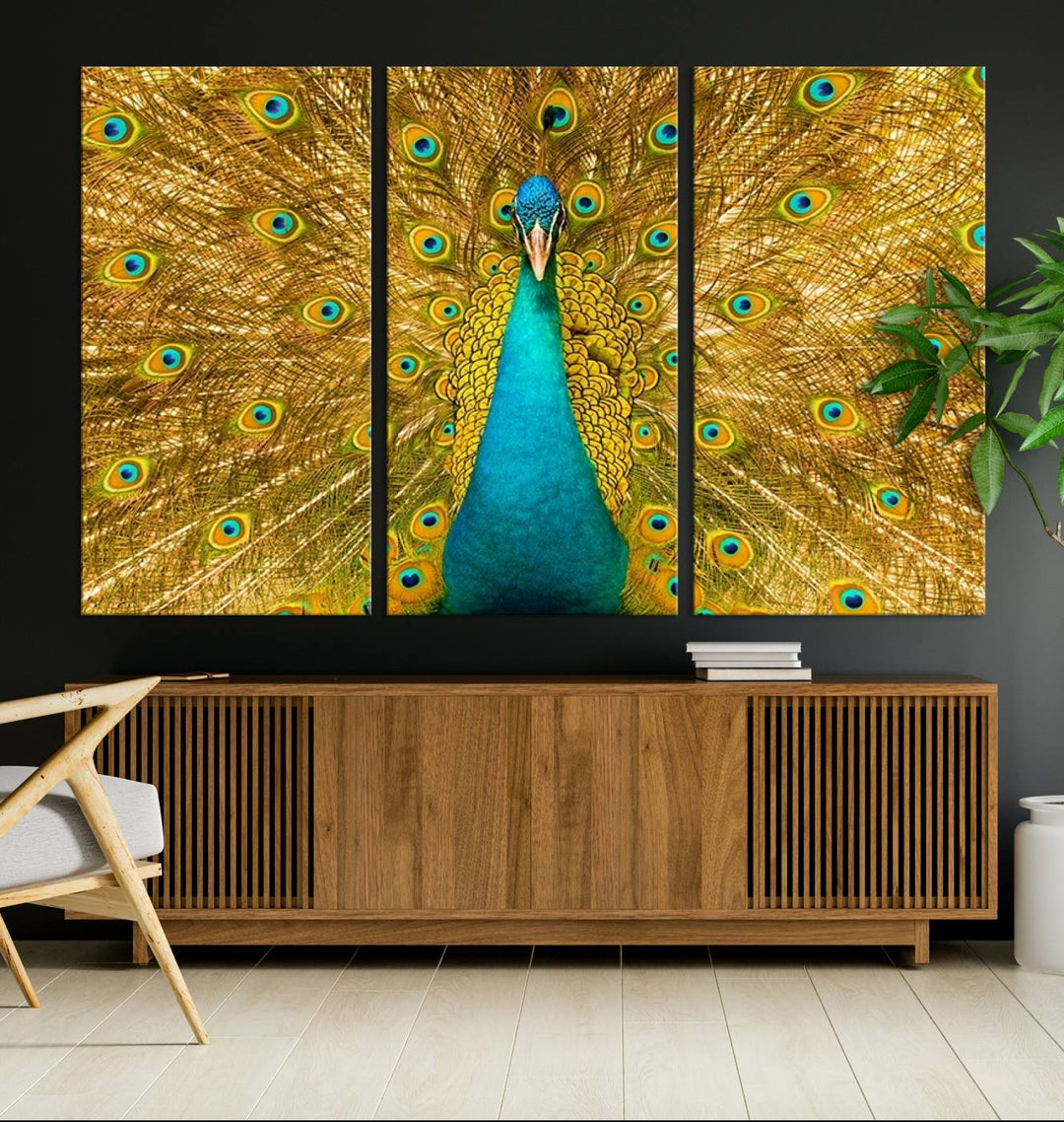 The Peacock Wall Art Canvas Print adorns a bright wall.