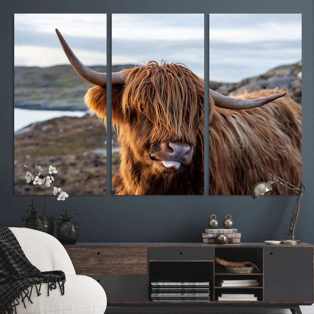 The Cuddly Highland Cow Canvas hangs, adding charm with its shaggy elegance.