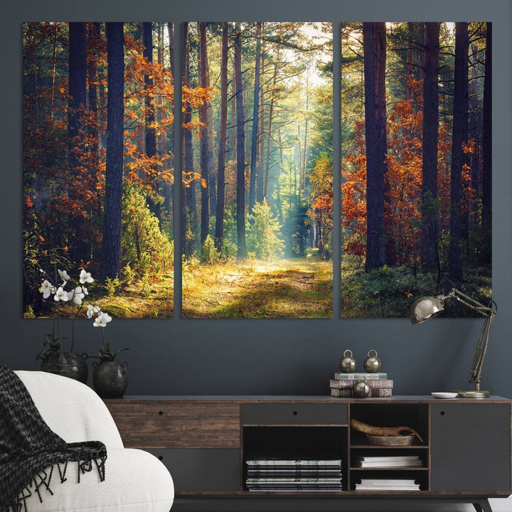 The Dark Forest canvas wall art showcases a captivating forest landscape.