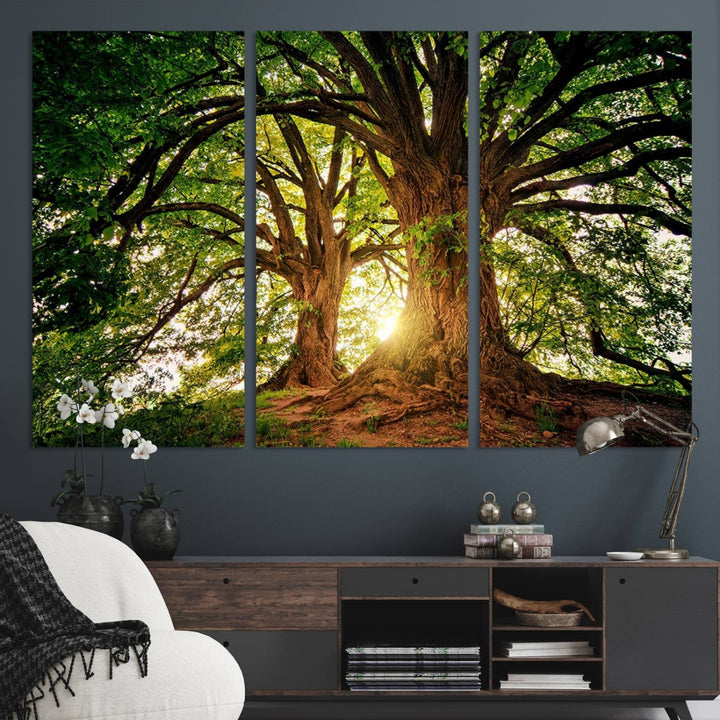 Majestic Ancient Tree Wall Art is illuminated by sunlit forest rays.