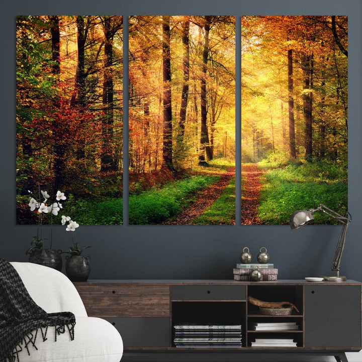 The Sunlight Through Trees Wall Art Canvas Print showcases a sunlit autumn forest and includes UV protection to ensure lasting vibrance.