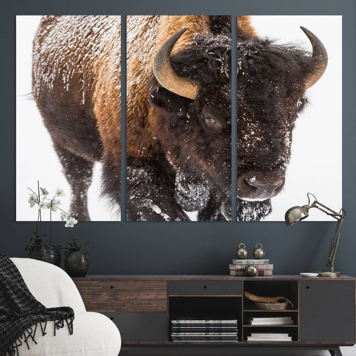 Bison Wall Art Canvas.