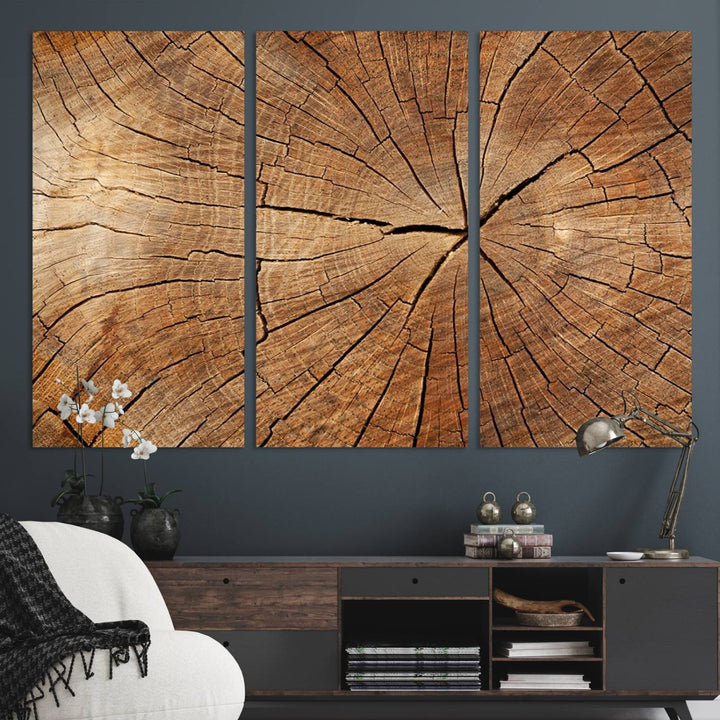 Tree Ring Canvas Art decorates a textured wall.