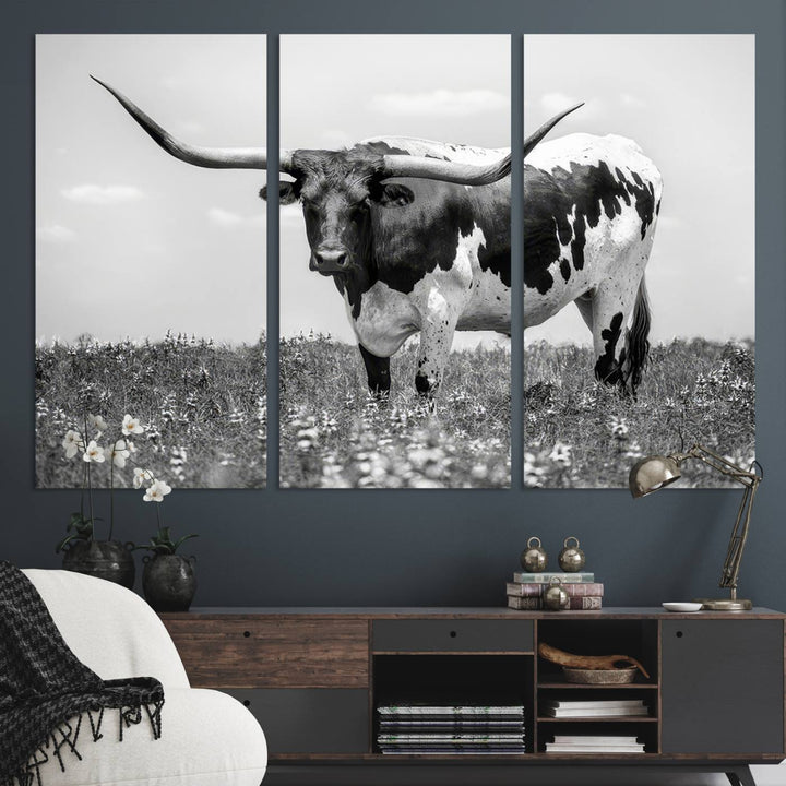 Texas Black White Highland Longhorn Cow Wall Art Canvas displayed on the wall.