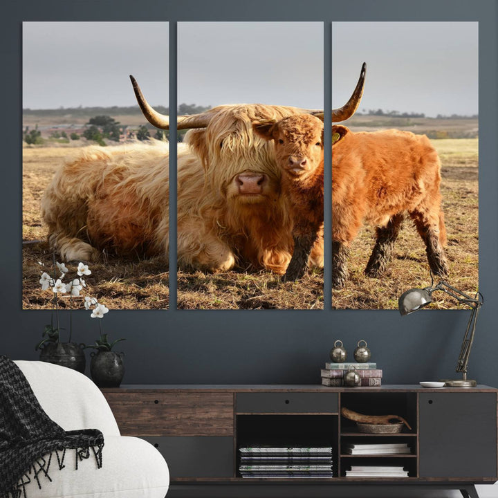 Highland Cow Canvas: a light brown cow and calf in the field, ideal farmhouse decor.