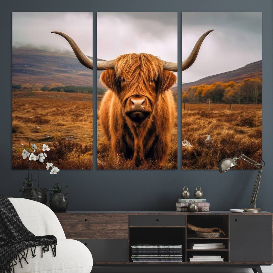 Highland Cow Longhorn Canvas Print, framed, on a wooden wall.