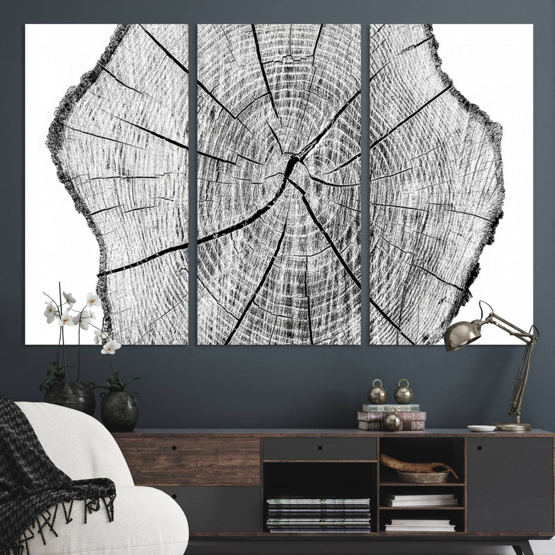 Black and white tree ring art print.