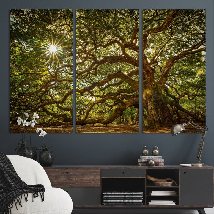 The Ancient Angel Oak Tree Art Sunburst Canvas Print, a framed triptych, serves as wall art.