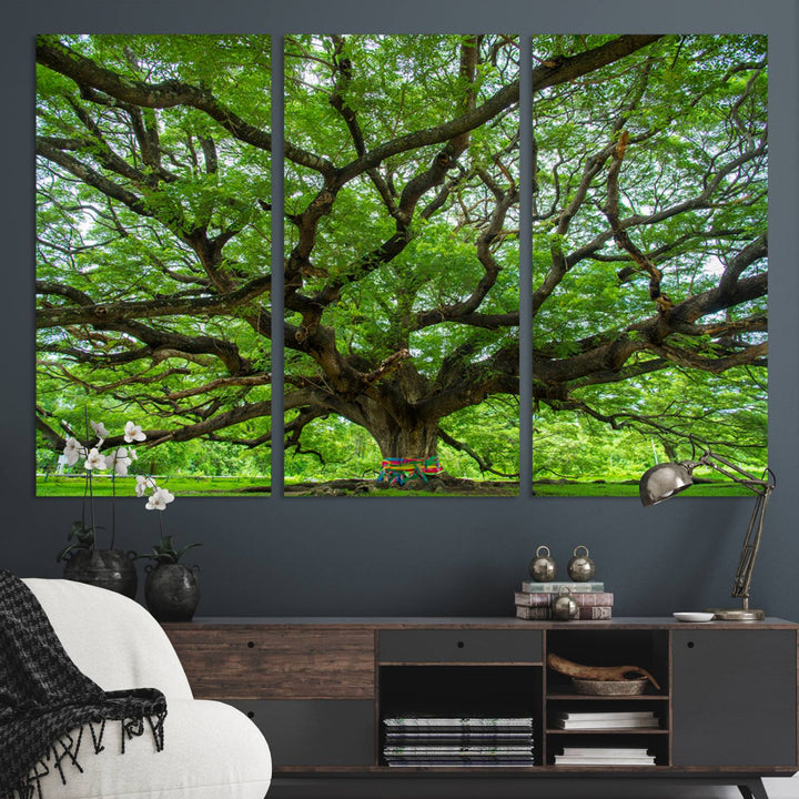 Framed Angel Oak Tree print featuring sprawling branches and ribbons against a clear sky backdrop, ideal for home or office decor.