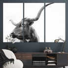64392617-MGV-CV-36X24-Longhorn Wall Art Wall Art Canvas Print, Framed Modern Ranch Style Art Art Picture Print, Monochrome Cow Print Perfect Rustic Western Decor