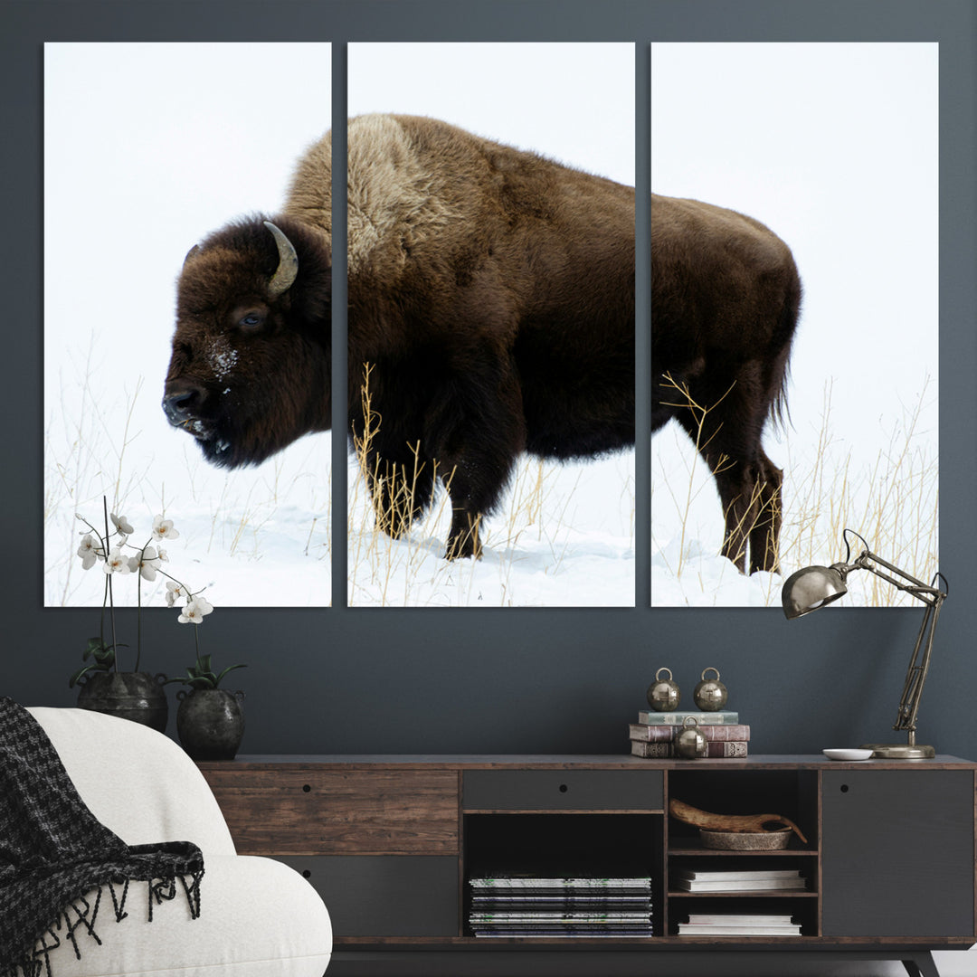 Bison Photography Wall Art Canvas Print, Framed Western Wildlife Art Picture Print, Buffalo On Snow Perfect Western Decor Artwork