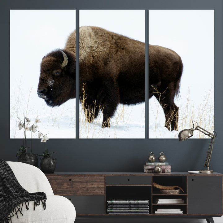 Bison Photography Wall Art Canvas Print, Framed Western Wildlife Art Picture Print, Buffalo On Snow Perfect Western Decor Artwork