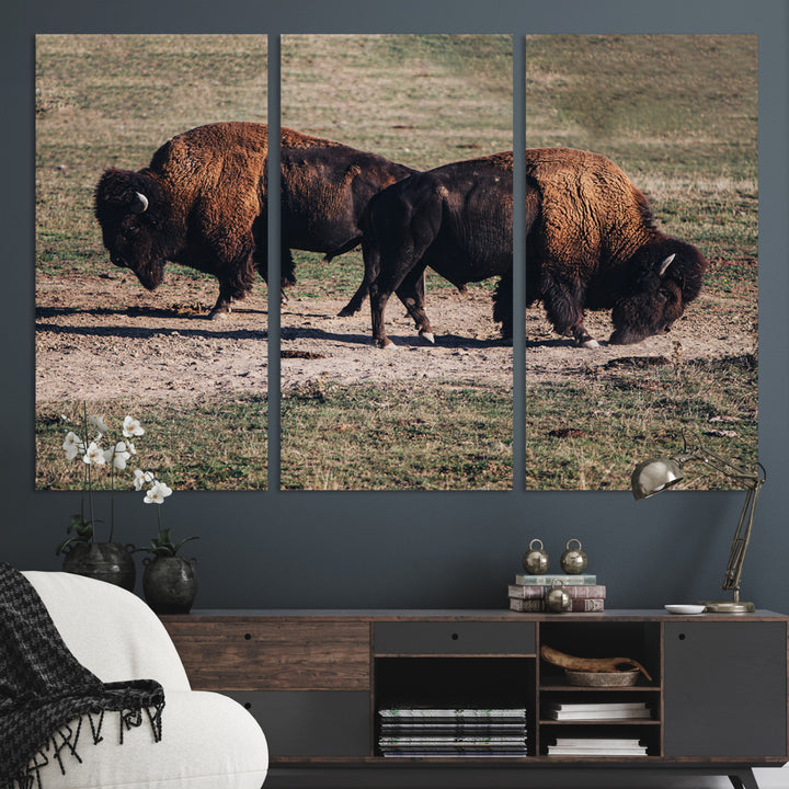 Bison Photography Wall Art Canvas Print, Framed Western Wildlife Art Picture Print, Modern Ranch Perfect Western Rustic Decor Artwork