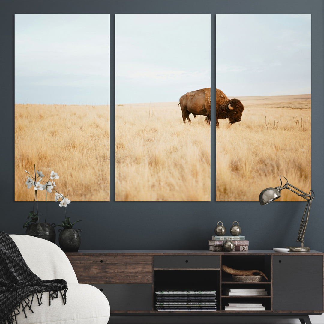 A lone bison standing in a vast golden grassland under a soft blue sky, evoking a rustic and Western aesthetic, ideal for farmhouse decor.