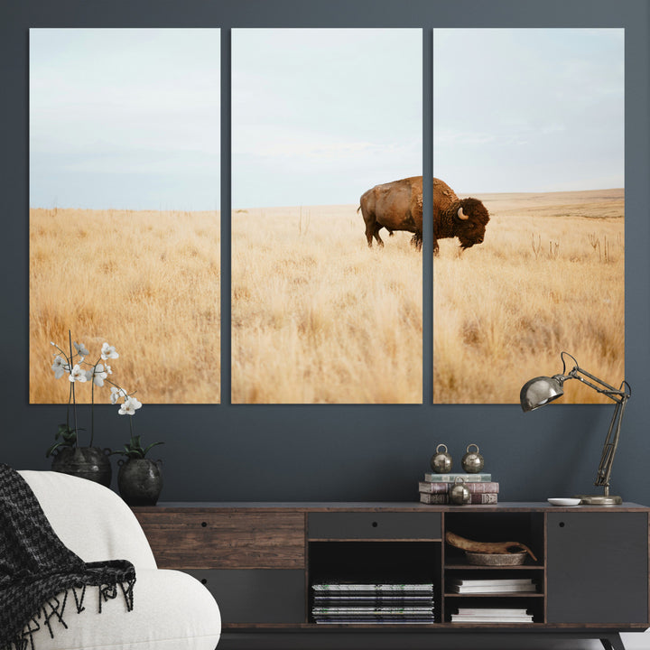 A lone bison standing in a vast golden grassland under a soft blue sky, evoking a rustic and Western aesthetic, ideal for farmhouse decor.