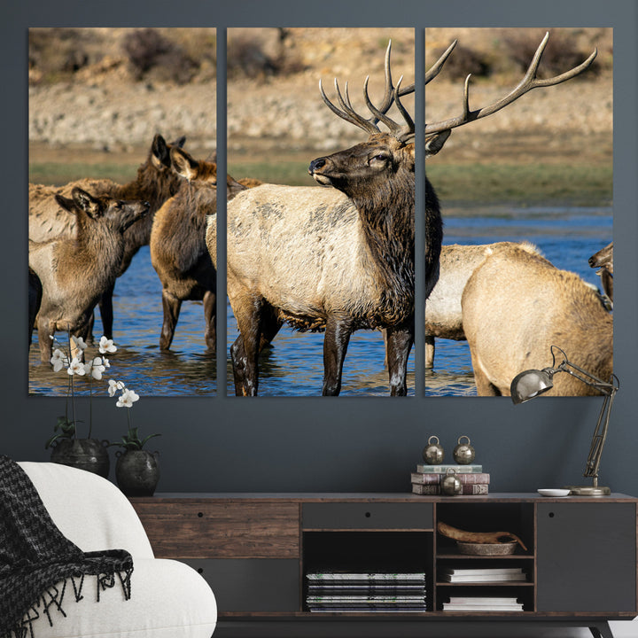 Group of elk standing in shallow water with dry rocky terrain in the background, showcasing wildlife in a natural setting for rustic decor.