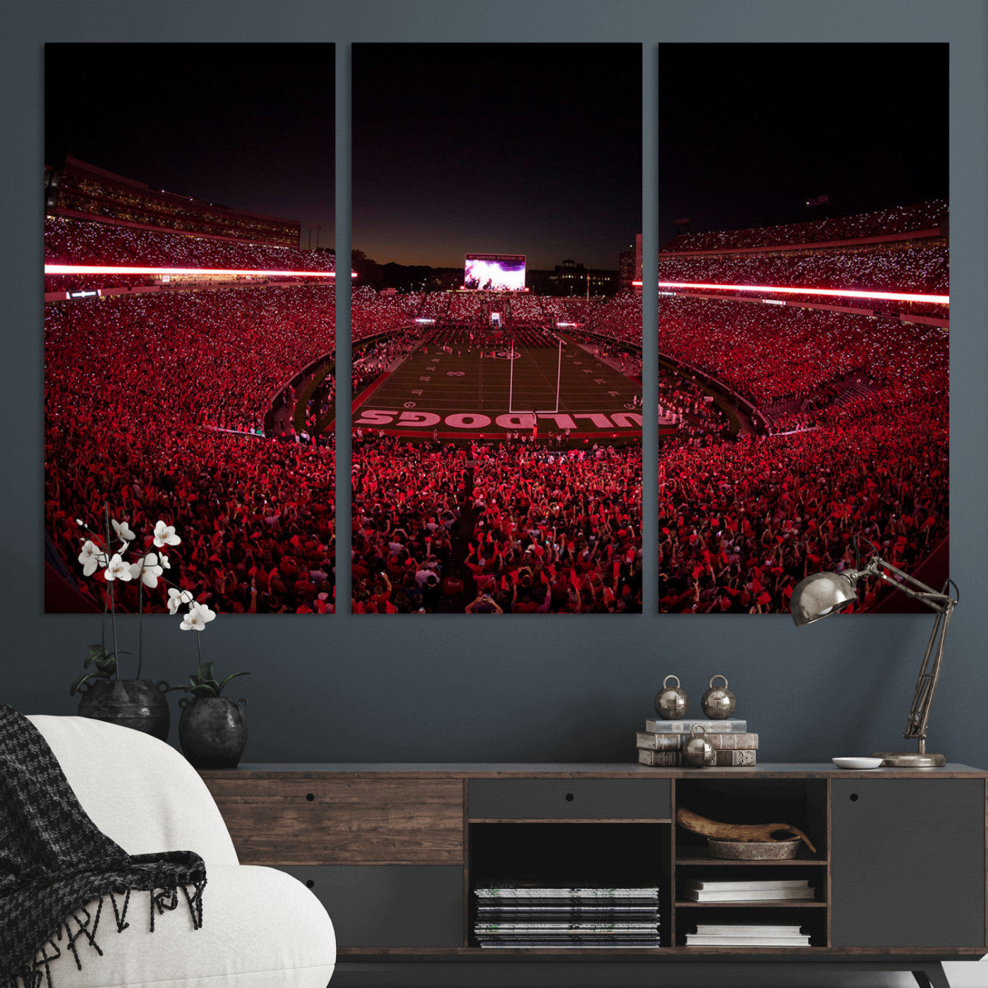 Dooley Stadium Wall Art Print, Sports Arena Canvas Wall Art, Dooley Field at Sanford Stadium Canvas Print, Modern Athletic Field Art Printing