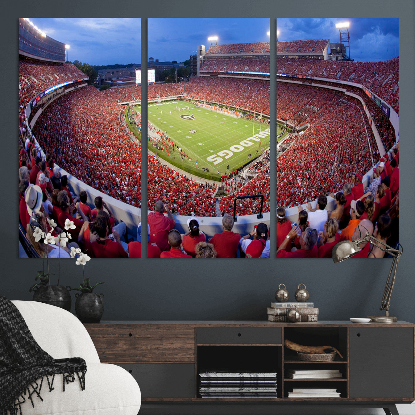 10244378-MGV-CV-48X32-3P-Dooley Stadium Wall Art Print, Sports Arena Canvas Wall Art, Dooley Field at Sanford Stadium Canvas Print, Modern Athletic Field Art Printing