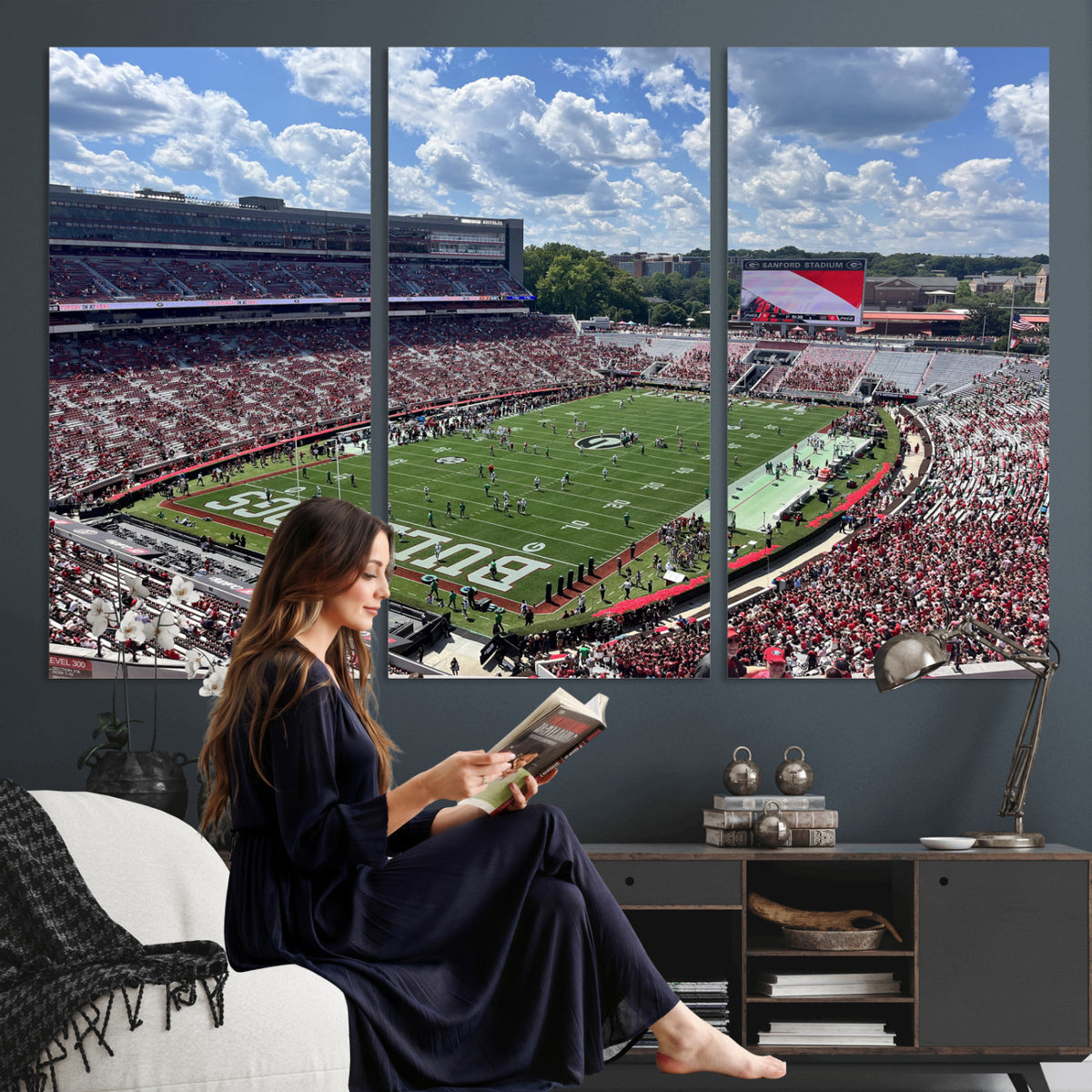 10665453-MGV-CV-36X24 - Georgia Bulldogs Stadium Wall Art Canvas Print, Sanford, Framed and Ready to Hang