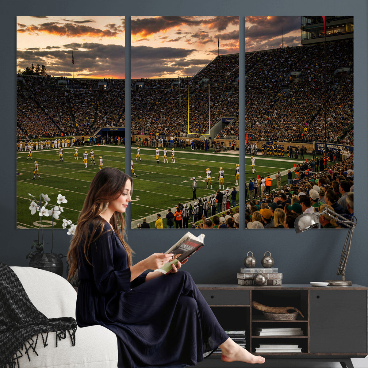 17703678-MGV-CV-36X24 - Stadium Wall Art Canvas Print