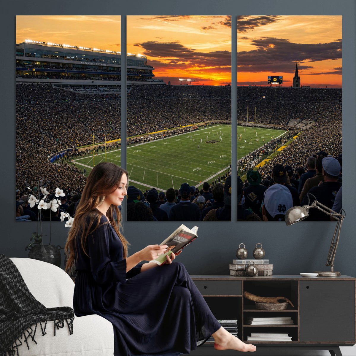 73585402-MGV-CV-36X24 - Stadium Wall Art Canvas Print