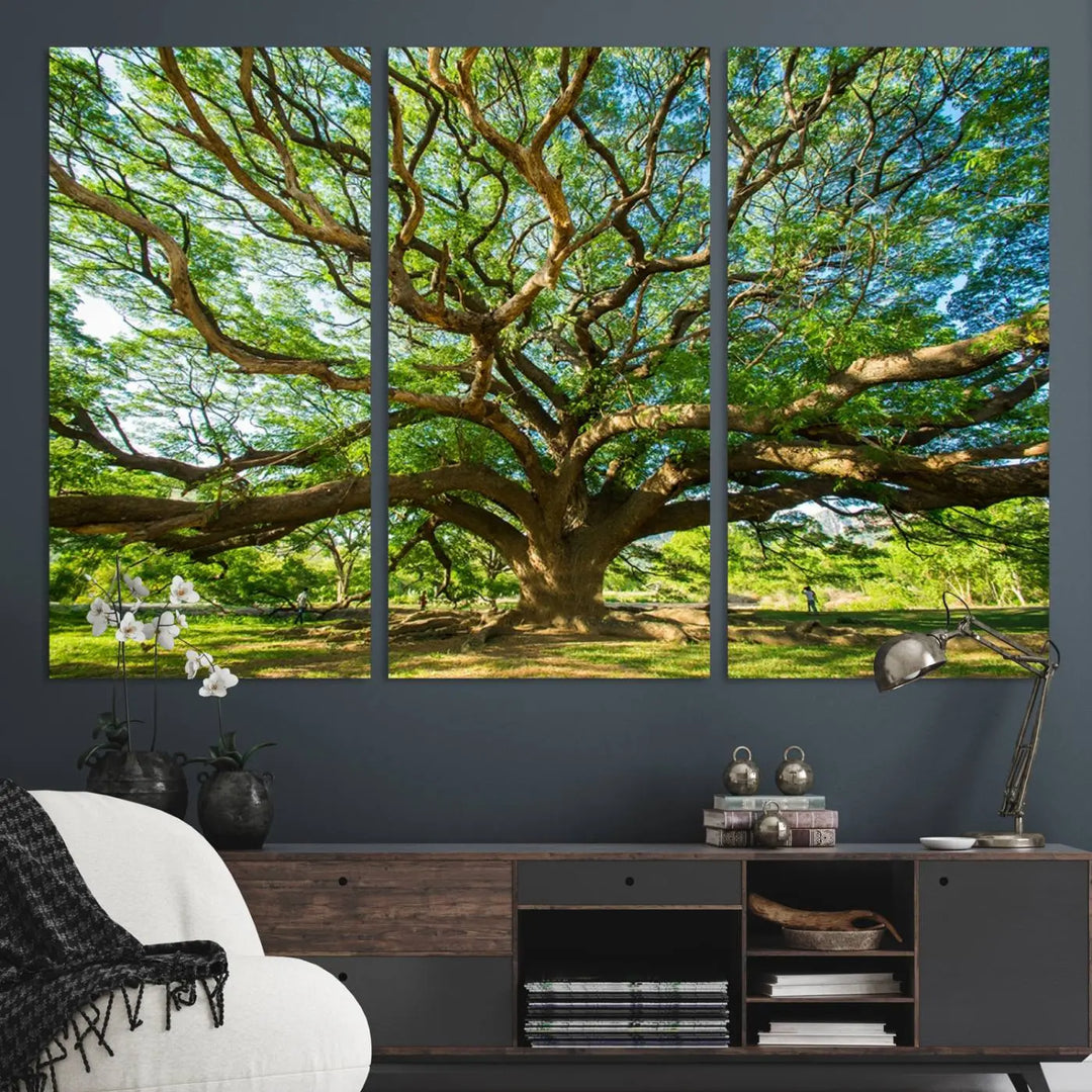 The Angel Oak Tree Wall Art, a multi-panel canvas print showcasing a large tree with sprawling branches and green leaves in a style reminiscent of the majestic Angel Oak Tree, elegantly adorns the wooden wall in the living room.