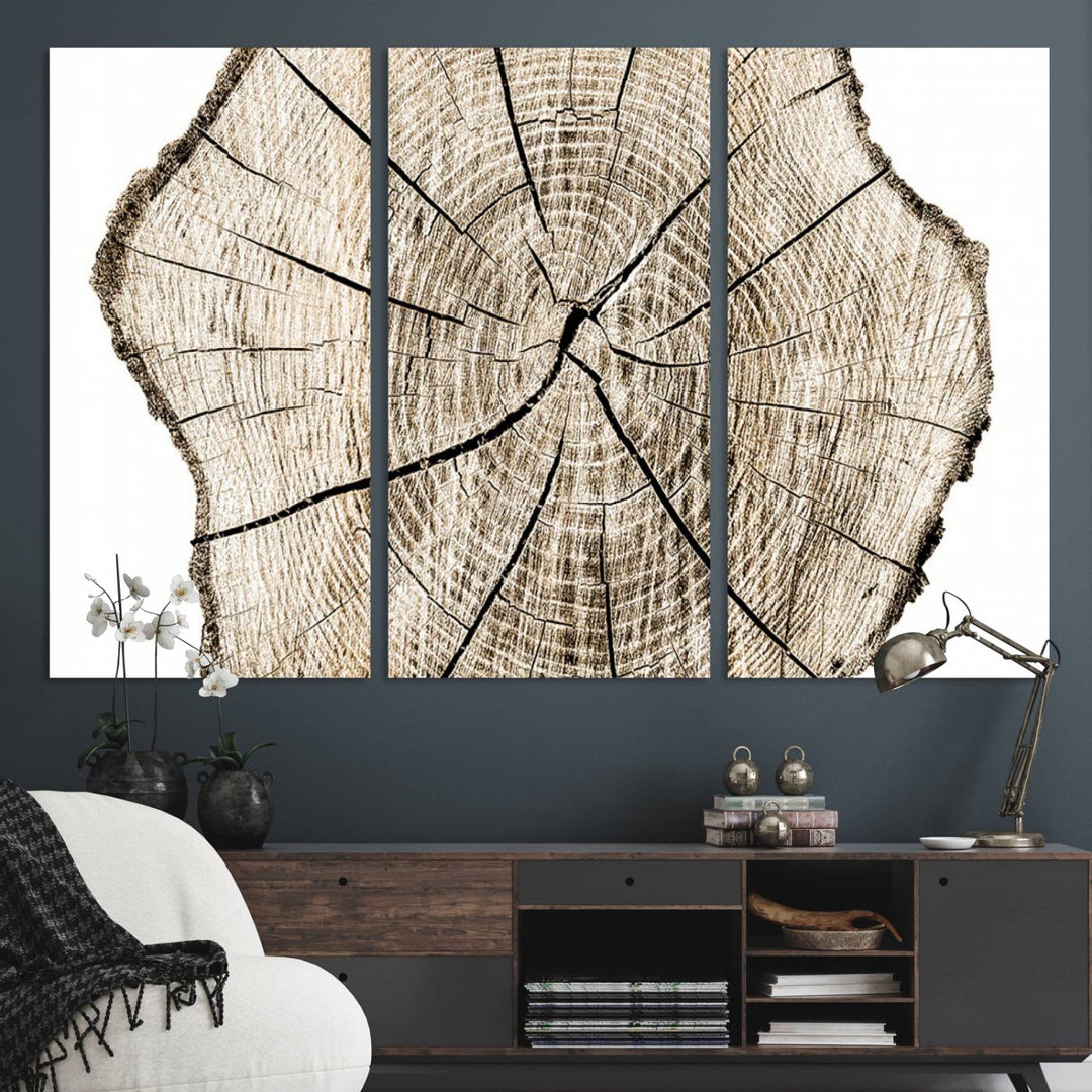 The Abstract Wood Tree Ring Wall Art set of 3 adds a minimalist touch to the space.