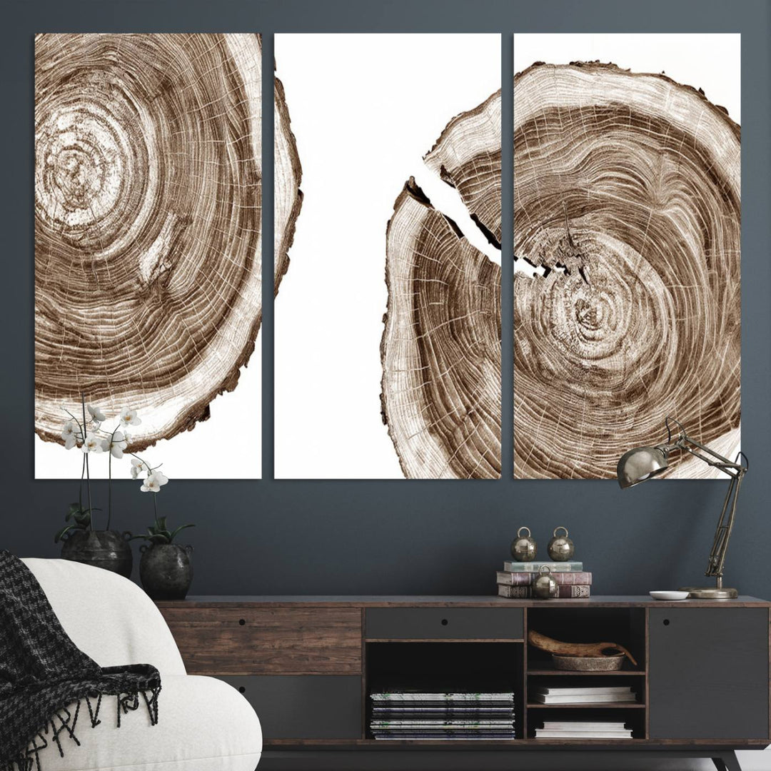 Wood Tree Ring Wall Art on a minimalist black and white canvas.