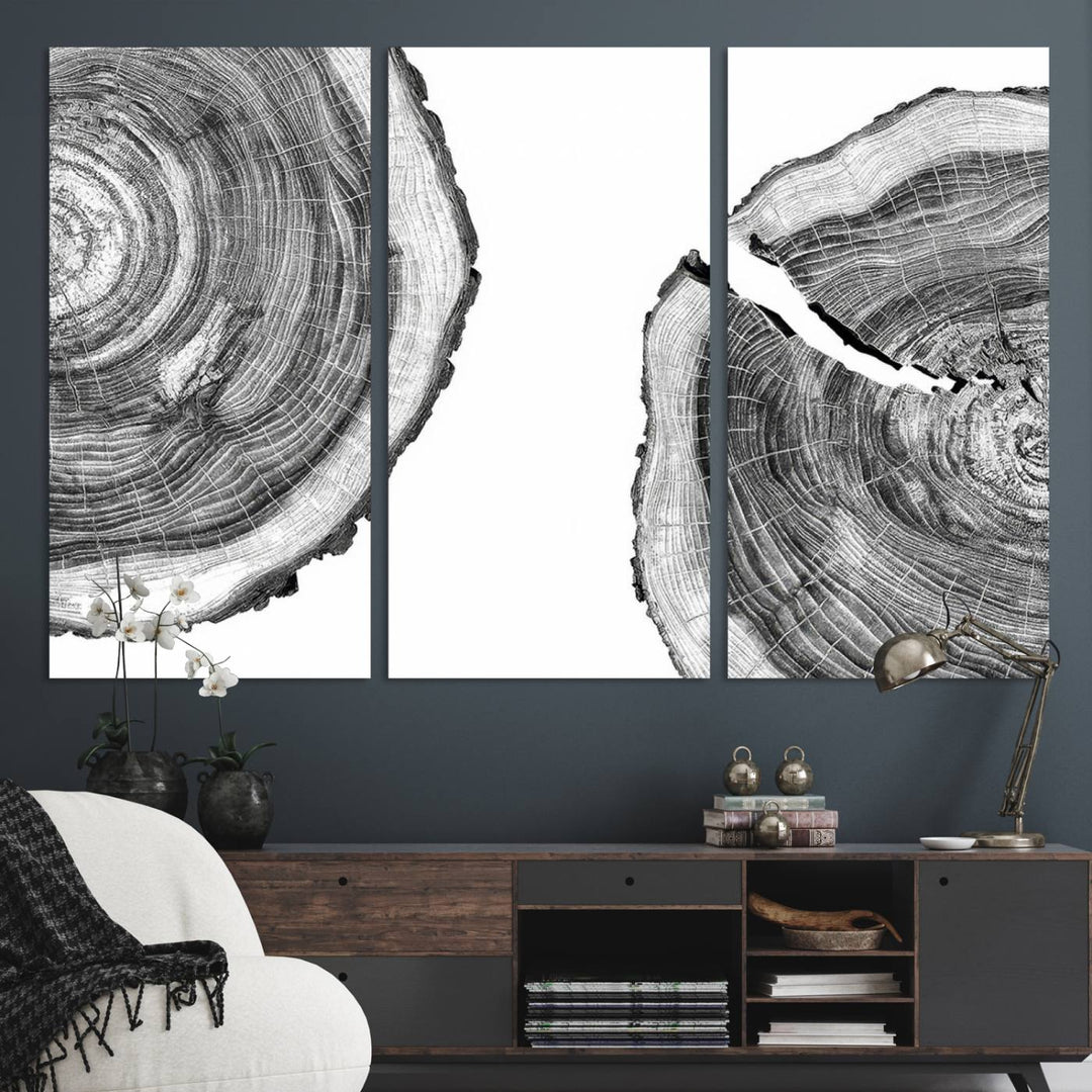 The minimalist art piece Abstract Large Tree Rings on canvas creates a striking focal point.