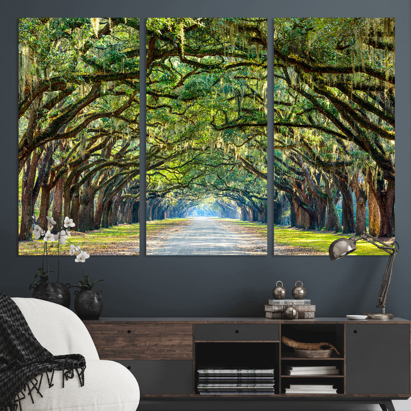 MGV-CV-48X32-3P - Wormsloe State Plantation Driveway Wall Art Canvas Print