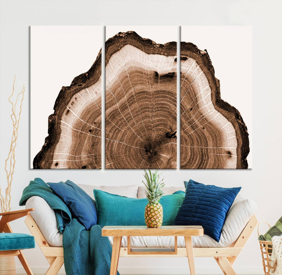 Close-up of the Rustic Wood Rings Wall Art featuring detailed tree rings and natural texture on a plain white background.