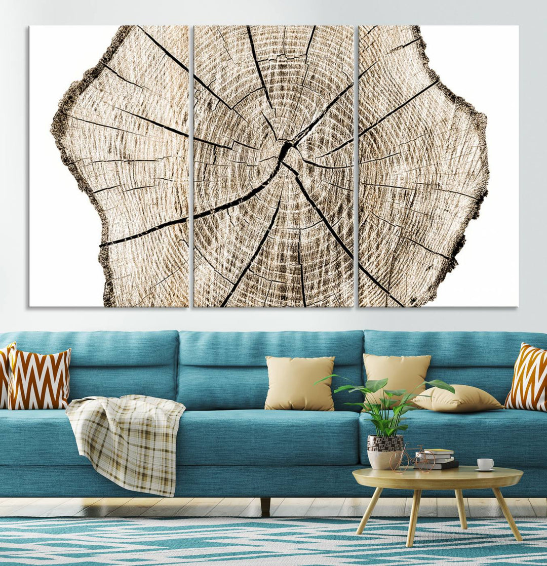 The Abstract Wood Tree Ring Wall Art set of 3 adds a minimalist touch to the space.