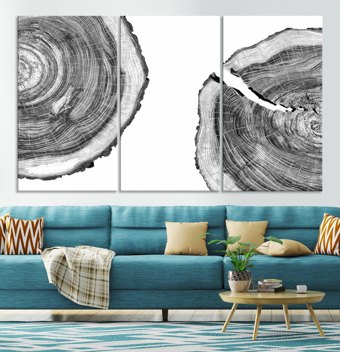 The minimalist art piece Abstract Large Tree Rings on canvas creates a striking focal point.