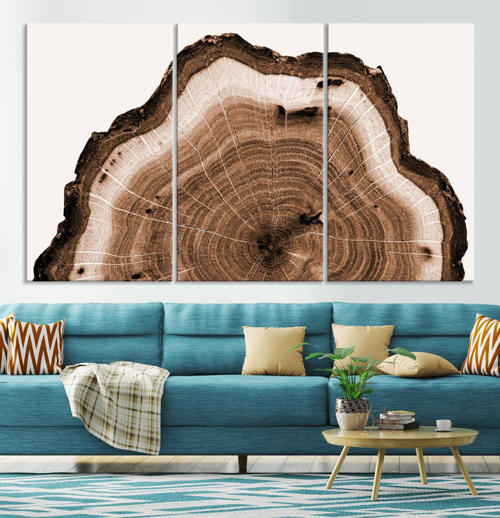 Rustic Wood Rings Wall Art | Nature-Inspired Tree Ring Canvas Print | Ready to Hang and Framed for Farmhouse Wall Decor