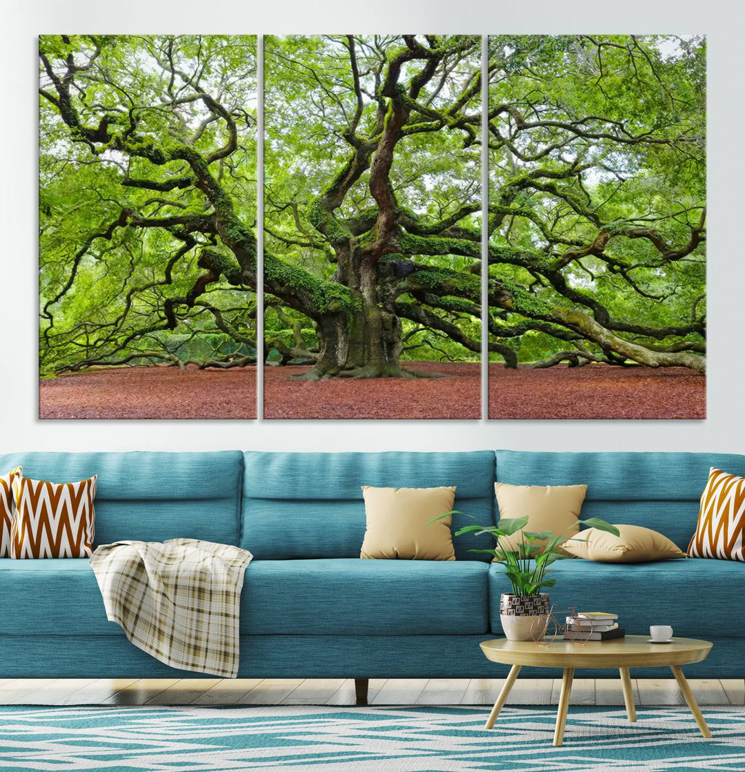 Framed Angel Oak Tree Wall Art - 3-Panel Canvas Prints, Large Green Nature Artwork, Ready to Hang Home Decor for Living Room, Office, Bedroom