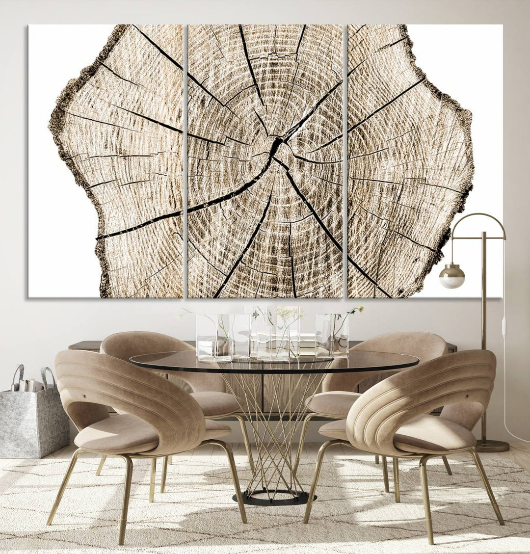 The Abstract Wood Tree Ring Wall Art set of 3 adds a minimalist touch to the space.