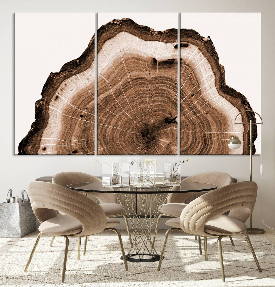 Rustic Wood Rings Wall Art | Nature-Inspired Tree Ring Canvas Print | Ready to Hang and Framed for Farmhouse Wall Decor