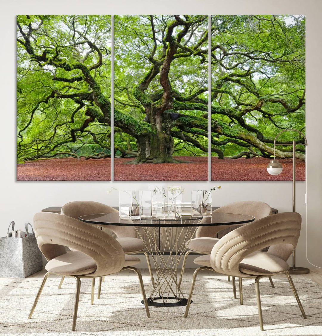 Framed Angel Oak Tree Wall Art - 3-Panel Canvas Prints, Large Green Nature Artwork, Ready to Hang Home Decor for Living Room, Office, Bedroom