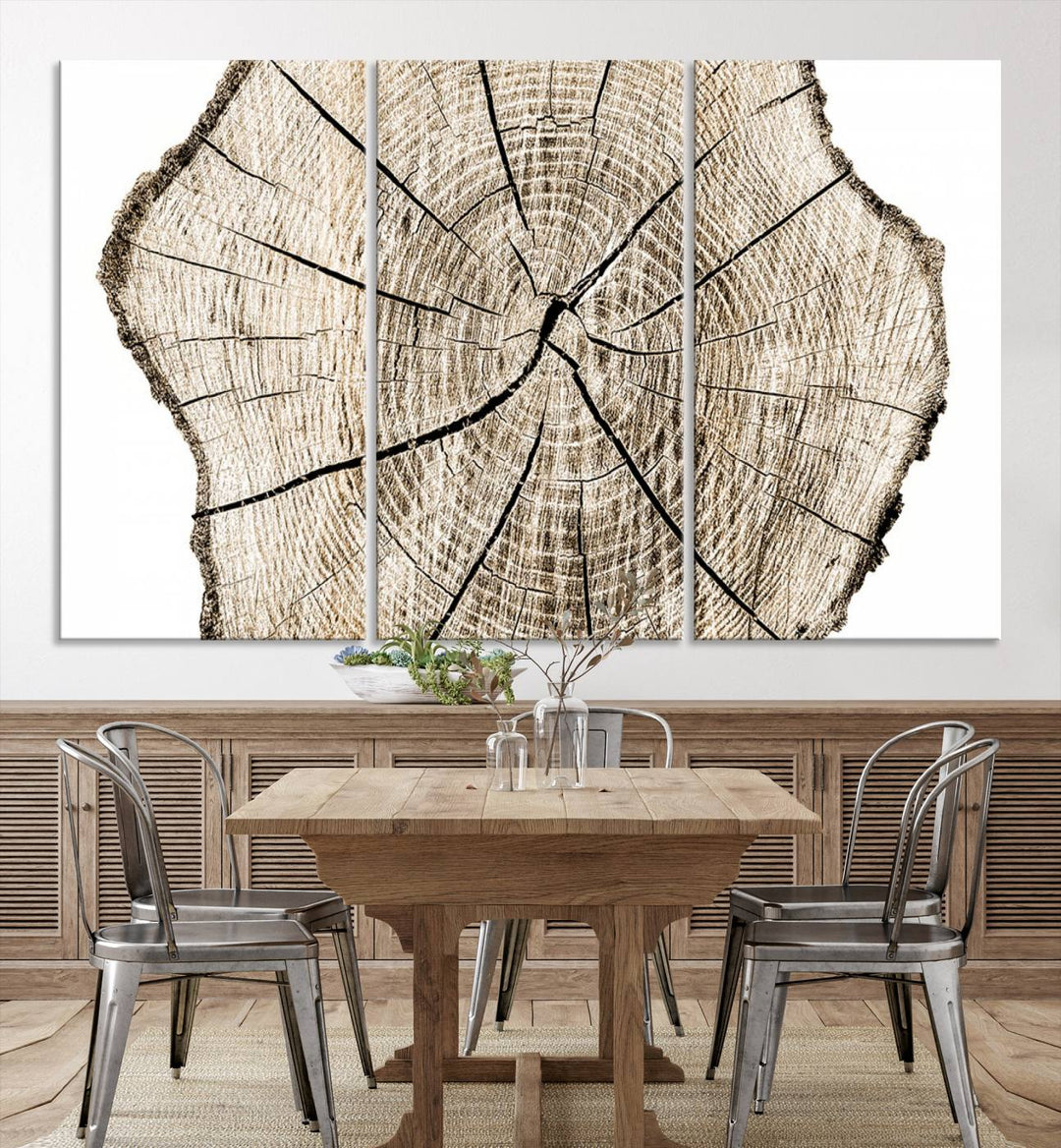 The Abstract Wood Tree Ring Wall Art set of 3 adds a minimalist touch to the space.