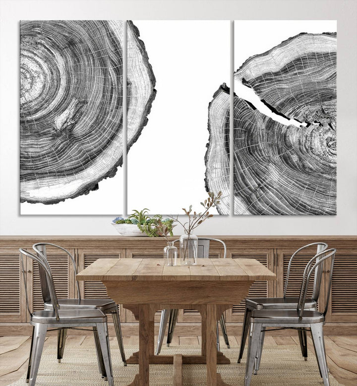 The minimalist art piece Abstract Large Tree Rings on canvas creates a striking focal point.