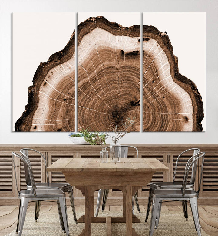 Rustic Wood Rings Wall Art | Nature-Inspired Tree Ring Canvas Print | Ready to Hang and Framed for Farmhouse Wall Decor