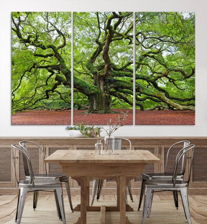 Framed Angel Oak Tree Wall Art - 3-Panel Canvas Prints, Large Green Nature Artwork, Ready to Hang Home Decor for Living Room, Office, Bedroom