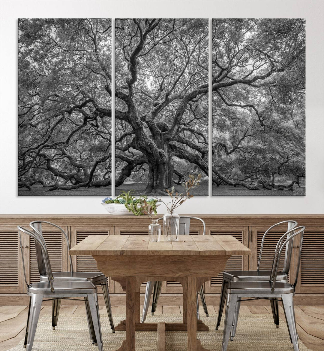 Majestic Angel Oak Tree Black and White Canvas Print – Multi Panel Wall Art, Giclée Print, Ready to Hang Nature Photography for Home Decor