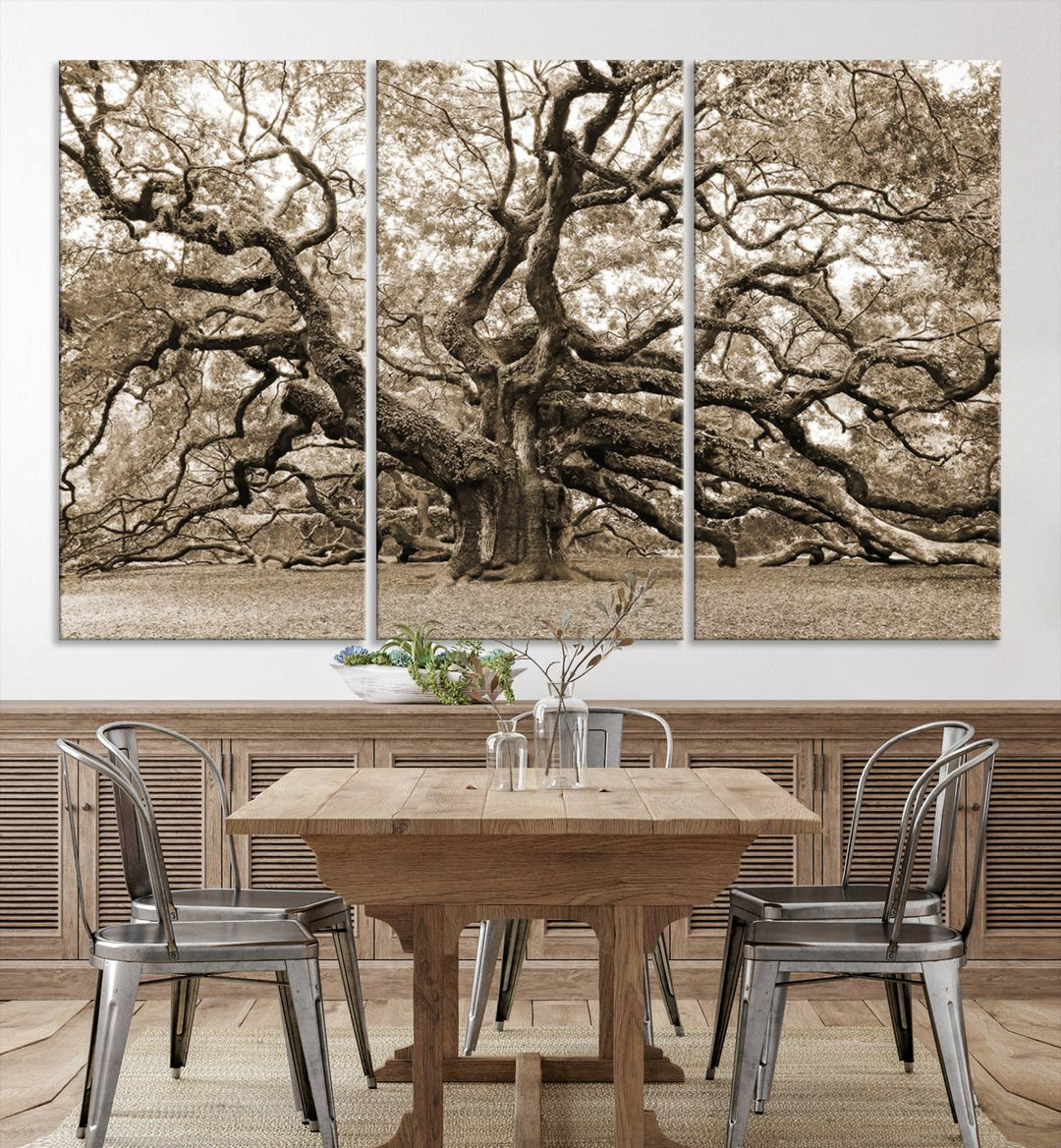 Sepia Framed Angel Oak Tree Wall Art - 3-Panel Canvas Prints, Large Green Nature Artwork, Ready to Hang Home Decor for Living Room, Office, Bedroom