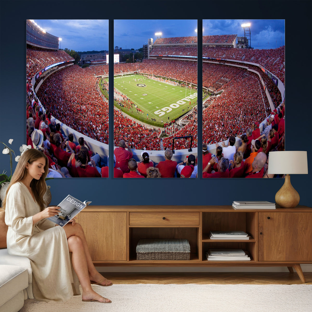 10244378-MGV-CV-36X24 - Dooley Stadium Wall Art, Sports Arena Canvas Print, Dooley Field, Home Bar Wall Decor