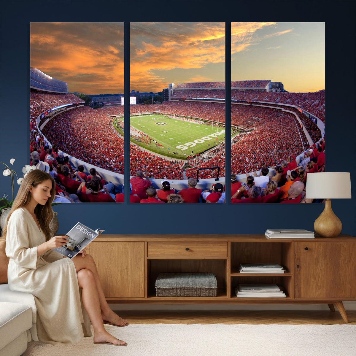 73680988-MGV-CV-36X24 - Dooley Stadium Wall Art, Sports Arena Canvas Print, Dooley Field, Framed and Ready to Hang