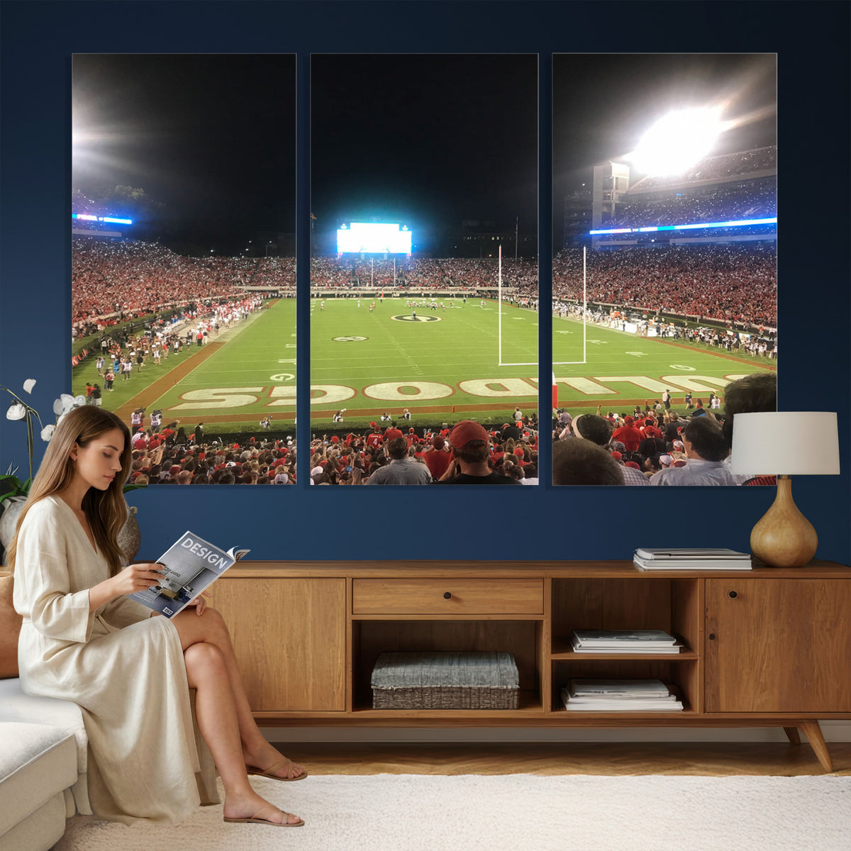 16230786-MGV-CV-36X24 - Dooley Stadium Wall Art, Sports Arena Panoramic Canvas
