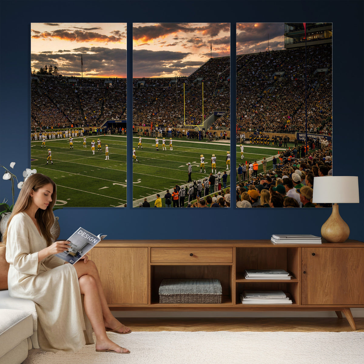 17703678-MGV-CV-36X24 - Stadium Wall Art Canvas Print