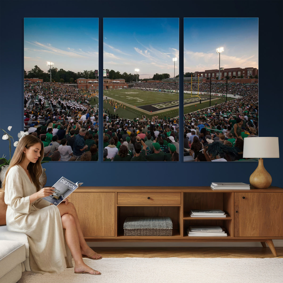 12290-MGV-CV-36X24 - University of Charlotte 49ers Football Team Print - Charlotte Jerry Richardson Stadium Wall Art